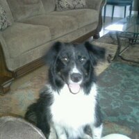 Sam Porterfield (@samsasmokin) 's Twitter Profile