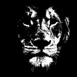 reggaeinspain's profile picture. Blog/Pagina - Noticias -Tu Blog diario gratuito de música Reggae , -Dedicado exclusivamente a artistas de España,