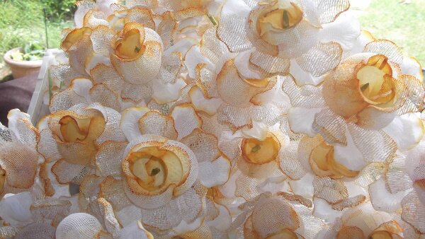 lorenaogi's profile picture. Sempre SDV!SEMPRE!