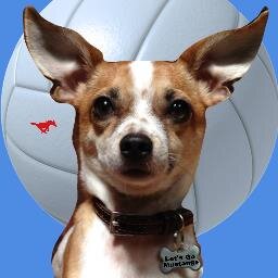 earsforyou's profile picture. 