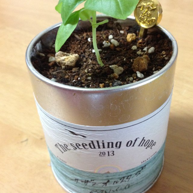 music226YUKI's profile picture. 好きなもの→サザン、ピアノ、アドベンチャーワールド、USJ、佐藤健くん、ハリー・ポッター、ベルセレージュ、読書、子ども達…………💕ギリシャリクガメ飼ってます💕
嫌いなもの→化学物質の臭い、低気圧