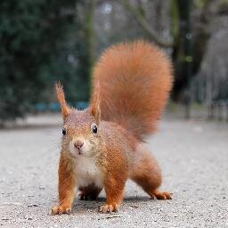 eddielenton's profile picture. Lover of food and network engineer.
https://t.co/Klo3GlGz8R