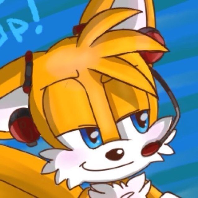 I'm the two tailed Tails, who loves to build some awesome stuff. Sonic is my best friend, ever since we met. I love going on great adventures with him. Lol no