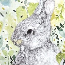 Argentinian based VISUAL ARTIST, Illustrator and an animal lover
