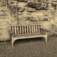 Doubting Thomas (@faith4thomas) 's Twitter Profile