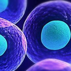 learning from the experts, part-time biotech investor
