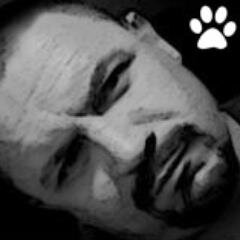 #CatLover / #Tauro / #DeDerecha / #Rockero