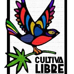 Por una nueva política de drogas sustentada en la Salud, la Ciencia y los DDHH ¡Cultiva Tus Derechos, Legaliza Contra el Narcotráfico! #CultivaLibre