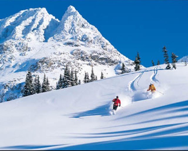 Average life of a skier
#SkiNation