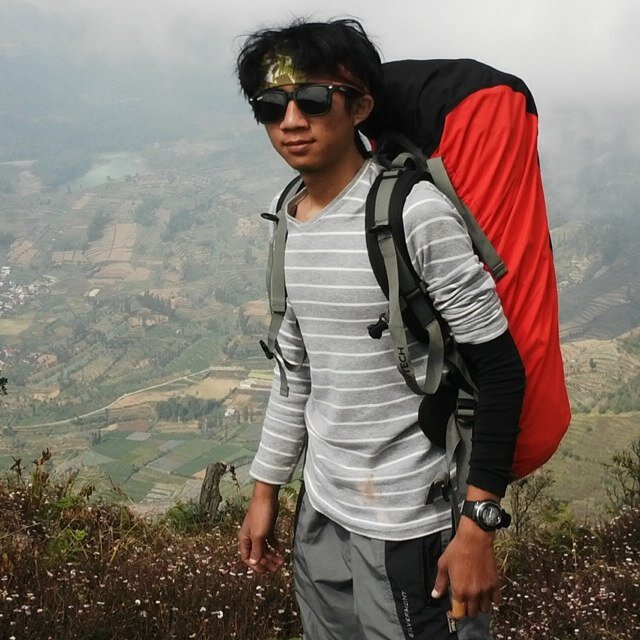 masasdani's profile picture. 