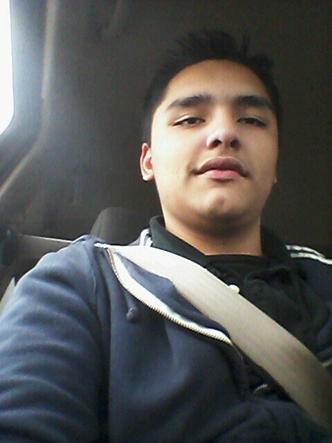 arirofu's profile picture. 