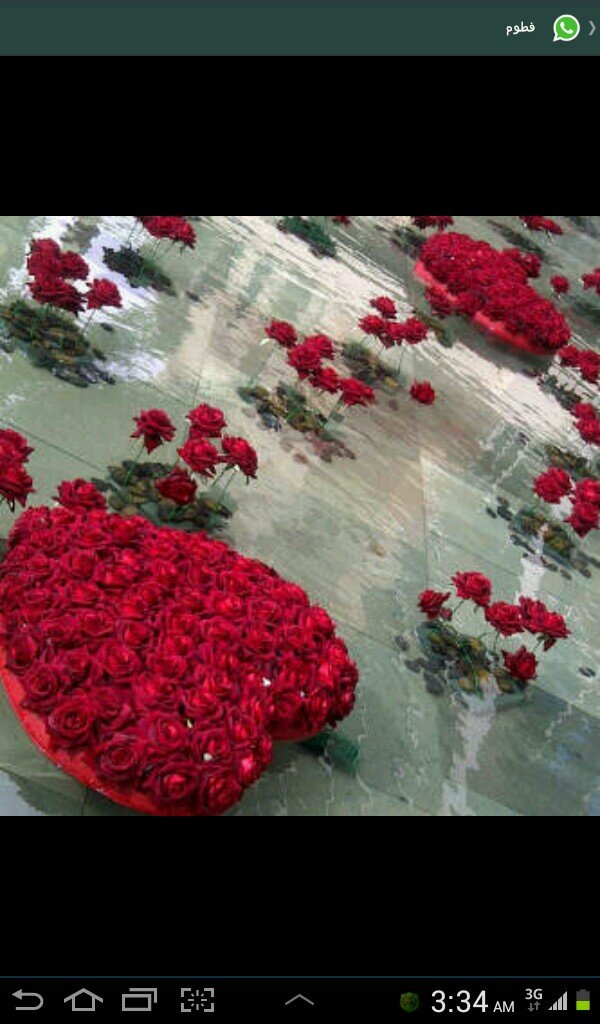 ‏‏‏‏‏‏‏‏‏‏‏‏اللَّهُــمَّ صَلِّ وَسَـلِّمْ وَبَارِكْ على نَبِيِّنَـــا مُحمد
