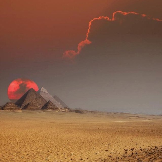 GoldRolyOly's profile picture. 