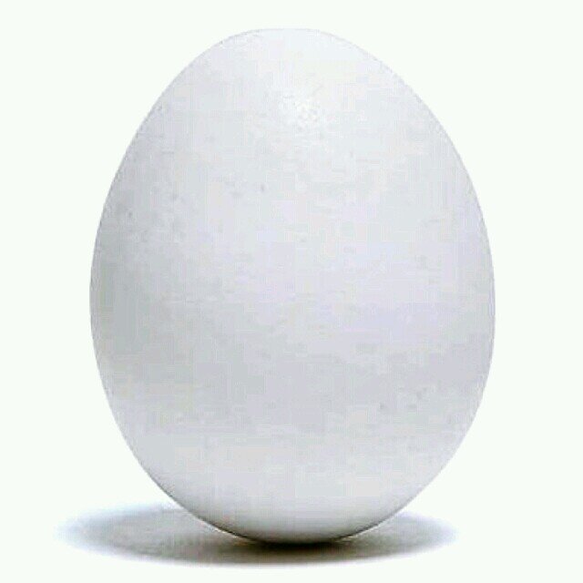 stkd12599's profile picture. 