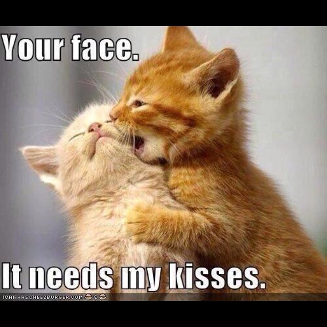 0relationships0's profile picture. Bringing you relationship tweets