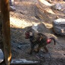 joel cornejo - @JoelXp1955 - Twitter