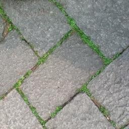 HopeTung's profile picture. editor, journalist