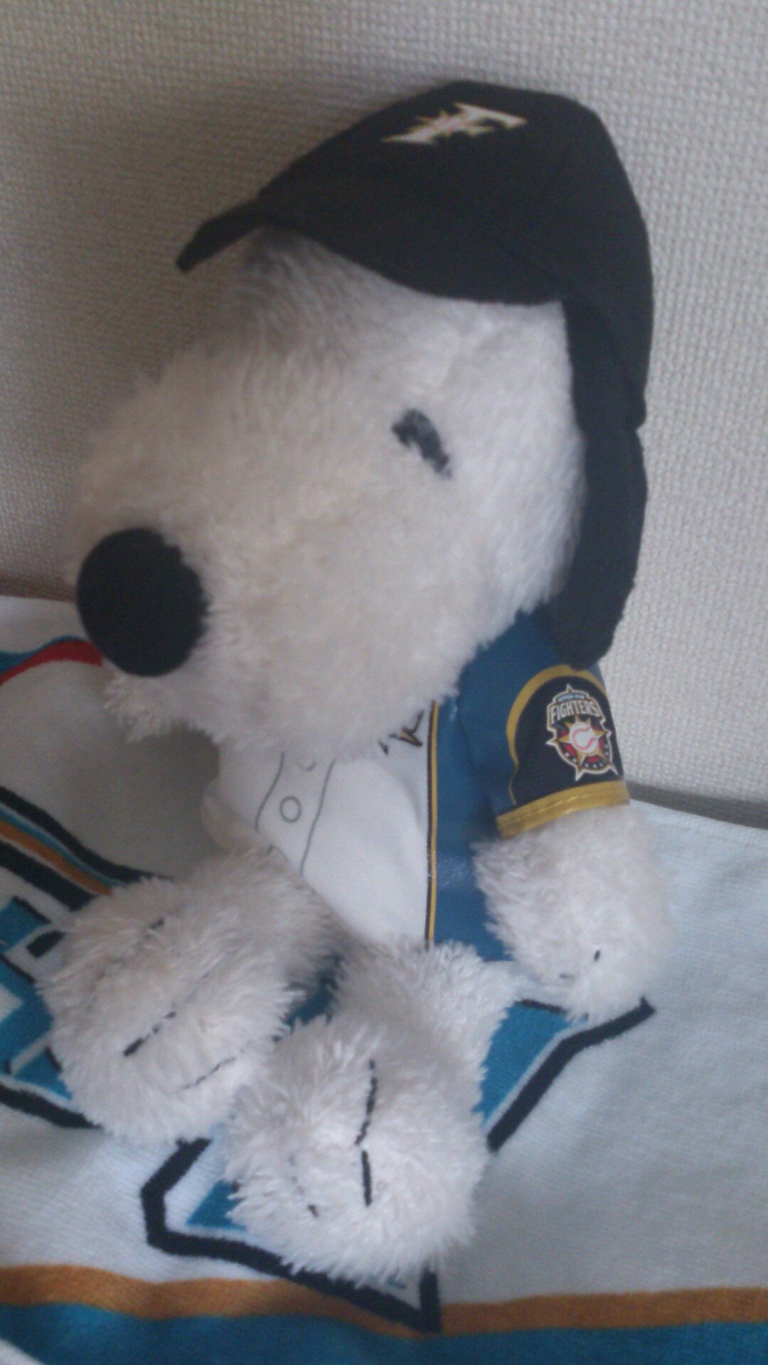 東京在住の北海道日本ハムファイターズのファンです。I'm a big fan of Shohei Ohtani and Hokkaido Nippon-Ham Fighters. ※写真について。ご自身でご覧になるための保存はご自由にどうぞ。無断転載はご遠慮ください。All rights reserved.