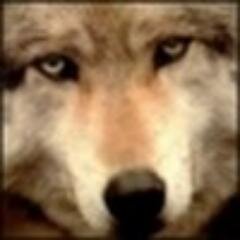 xetisubjack Profile Picture