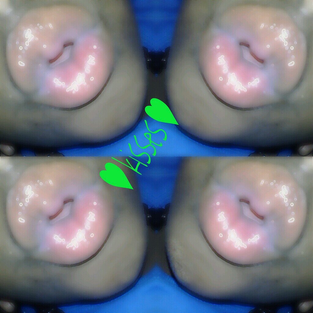 My Name Is Tina ..im 17 A Senior In High School ...I Sing Im Funny ...Dont Trust Many Ppl ...I Livee In Alabama .....&& I Love The Color LIme Green