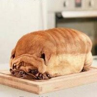 SeanBread (@sean82poet) 's Twitter Profile
