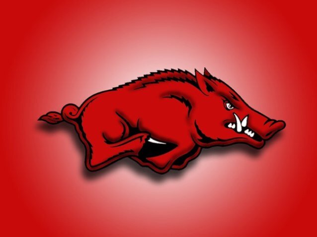 The best b.s. coming straight from the Donald Reynolds Razorback Stadium. Parody Account. #neveryield #WPS