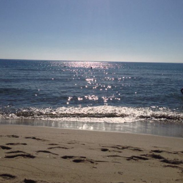 martinicca's profile picture. Sarda, atea, precaria, ricercatrice perenne di un senso. Non ho ancora trovato nulla