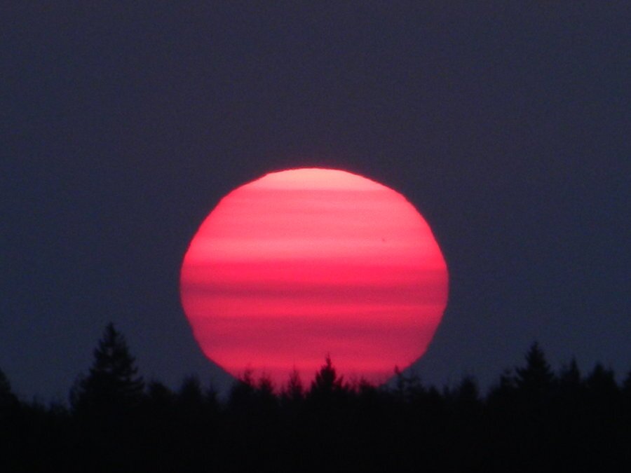 PINKSUNSTORE's profile picture. We sell clothes and the girls things :) - Store for all the shopaholics