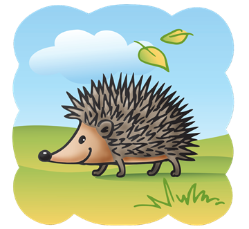 I strive to produce the best quality hedgehogs that are possible in Northwest Florida area. Check out my website http://t.co/1UYMFcKnkB