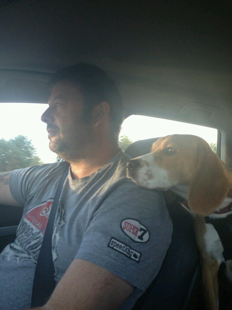 jaynaylorACE's profile picture. To install and service all types of catering equipment for manufacturer's &   dealers across the UK