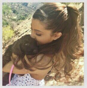 EVERY arianator will get a follow back! ♡ because ariana makes me happy :)                          and yes I'AM ARIANA'S UNICORN
