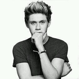 I'm a fan|follow @Im_Nialls_Pen|@5SOS & @onedirection is my bae
