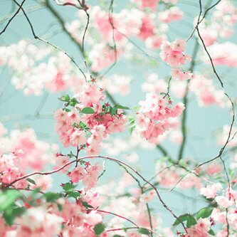 lola_4k's profile picture. 