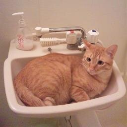 ついに1児の父となりました。
