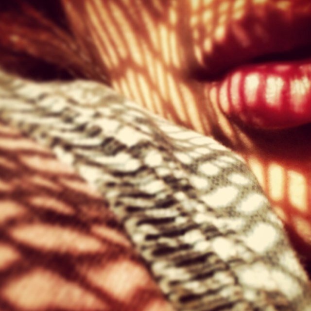 lannaorz's profile picture. 