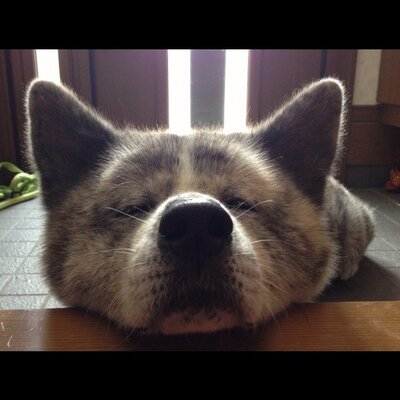 hiroka