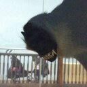 Gary Christopher - @molecularBean - Twitter