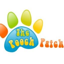 Dog Grooming, Canine Physiotherapy & Dog Grooming Courses