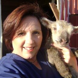 Salacious babybooming writer of award winning FLYING SOLO #trilogy. #NOLA fan, #navymom, wine lover, nurse & nurse educator! #flynavy #SOT https://t.co/mLu5EY9IbV