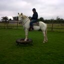 Bev Fielding - @BevJFielding - Twitter