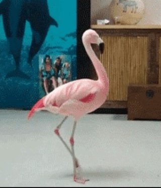 A rant account about my sometimes shitty but mostly ironic life. I follow back. Muse, tonight alive, bastille.