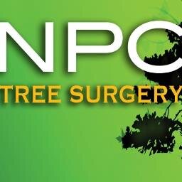 NPC Tree Surgery offers a range of professional tree felling services, with work carried out to the highest standard at competitive prices.Call Nick 07712764882