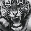 امول (@22_amoolaq) Twitter