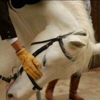 فزّولها (@fzzolaha) Twitter profile photo
