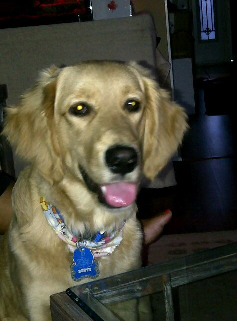 Bobcatt14Rob's profile picture. 