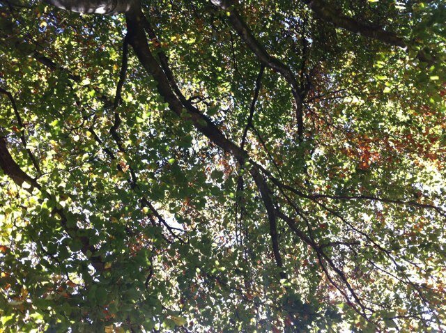 anonymousblogIE's profile picture. here for advice for teenage girls
tweet me