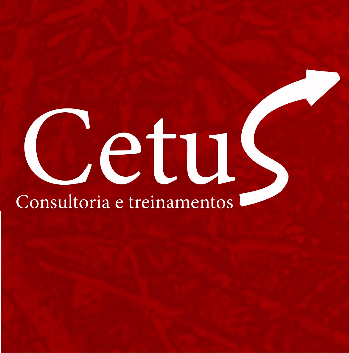 A Cetus Consultoria e Treinamentos atende o mercado há 17 anos com o objetivo de prover consultoria e treinamento de excelência em inovação.
