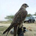 عابر١١١ (@00567A) Twitter