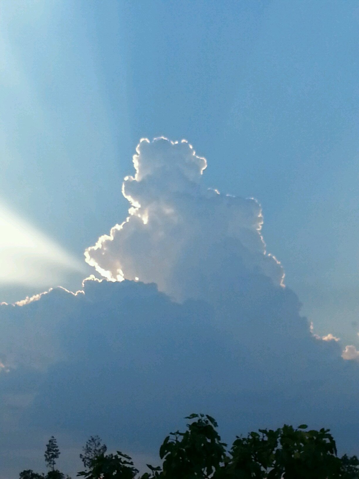 chiasizo's profile picture. mom, nurce and addict of scandal, dexter, grey's, friends....