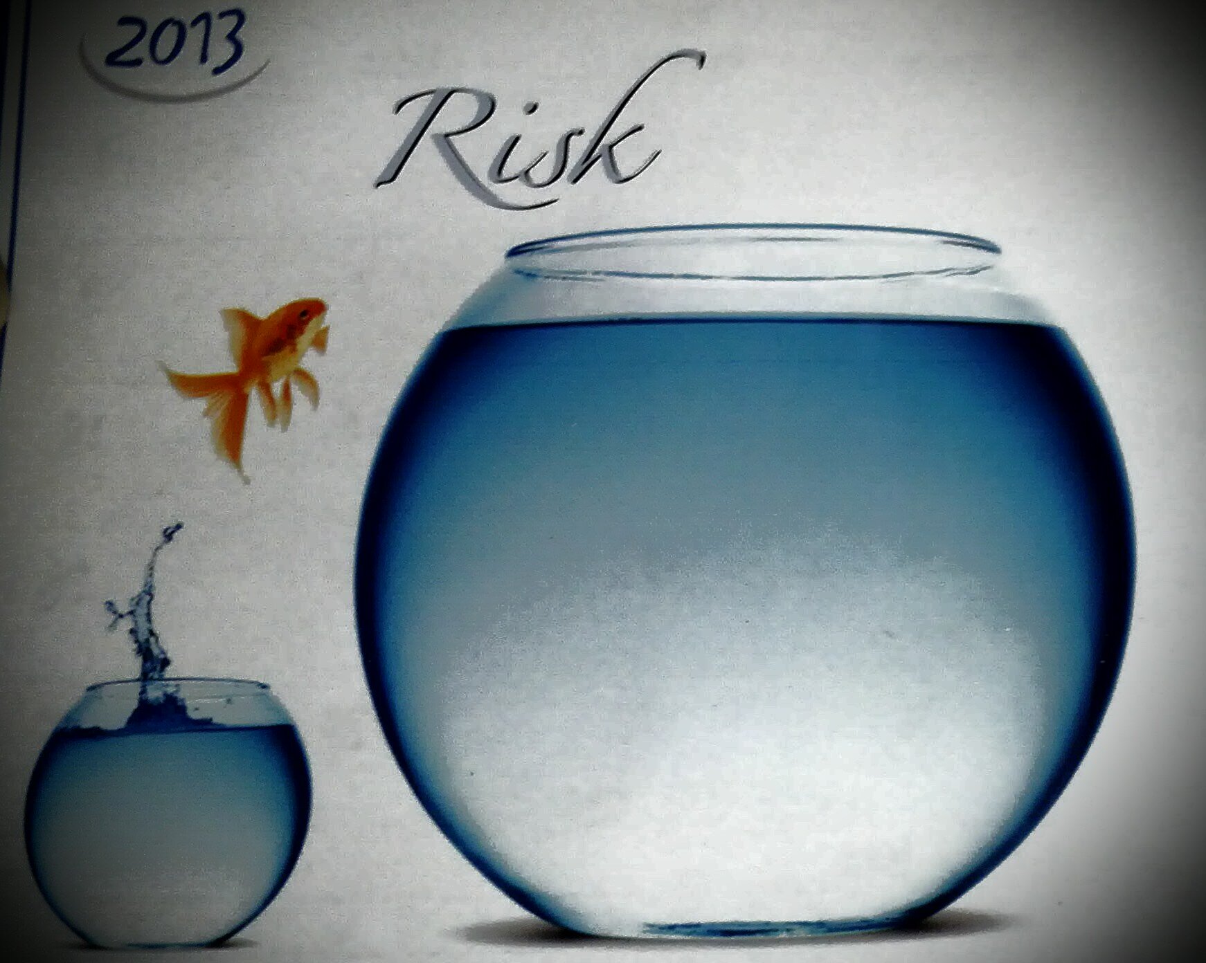 mkshamsi1's profile picture. Educational, fun learning books publisher , from Cape Town South Africa